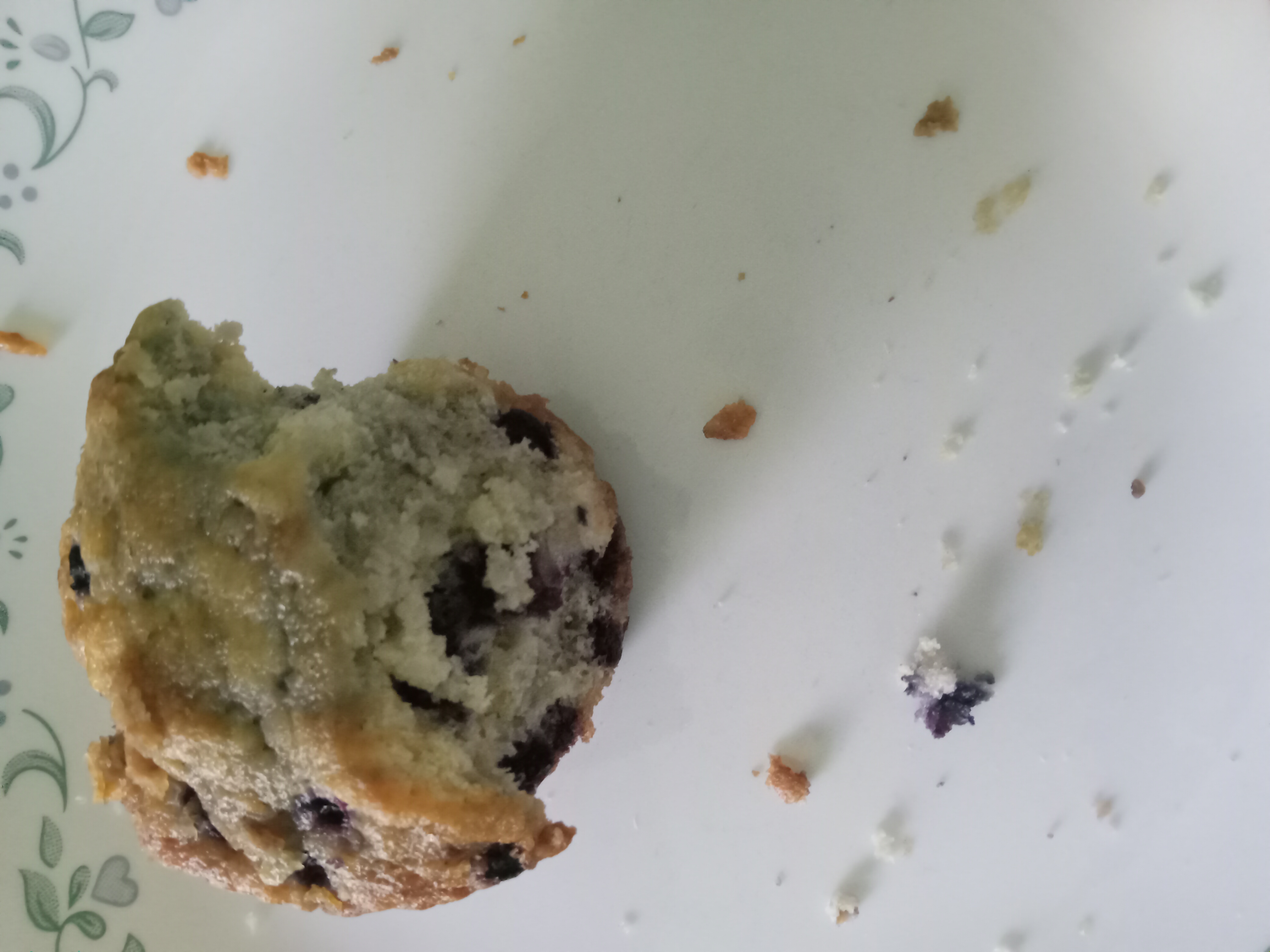 Episode 1 Thumbnail - Muffin on a Plate